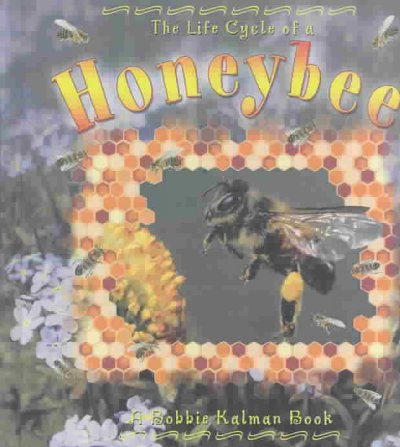 The life cycle of a honeybee / Bobbie Kalman.