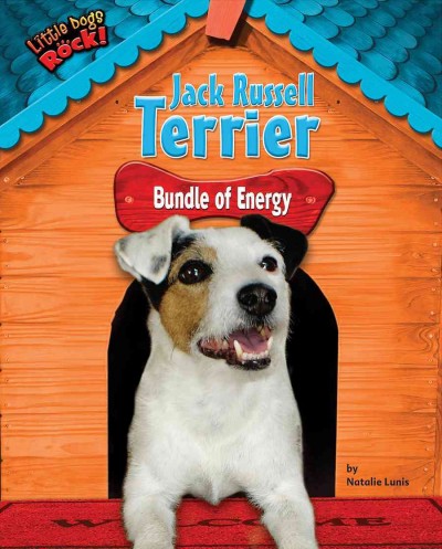 Jack Russell terrier [electronic resource] : bundle of energy / by Natalie Lunis.