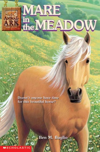 Mare in the Meadow [Book]