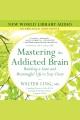 Mastering the addicted brain Building a Sane and Meaningful Life to Stay Clean. Cover Image